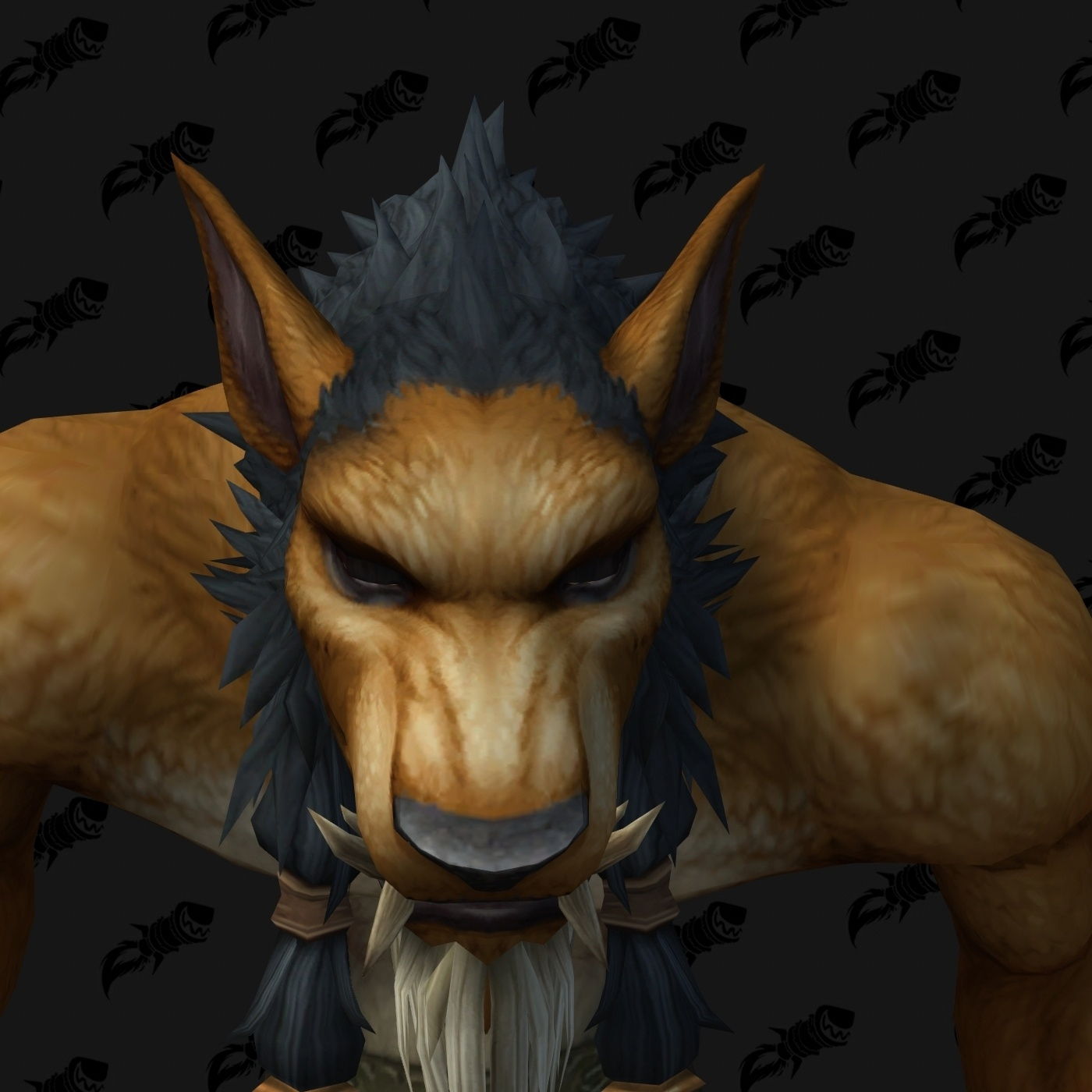 Nouvelle personnalisation Worgen (H)