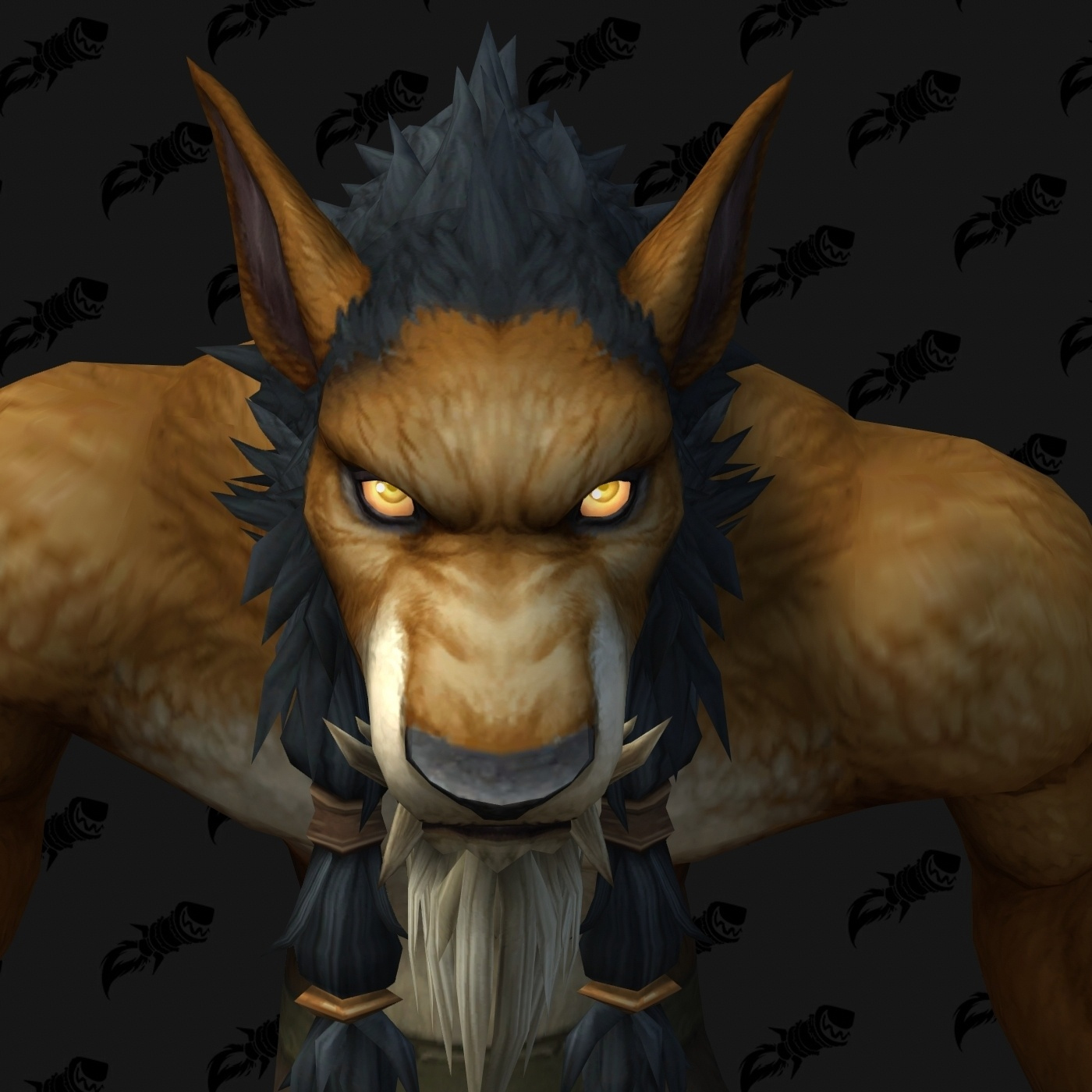 Nouvelle personnalisation Worgen (H)