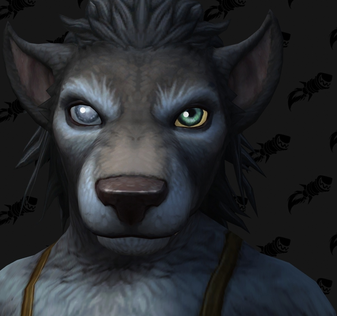 Shadowlands : personnalisation Worgen