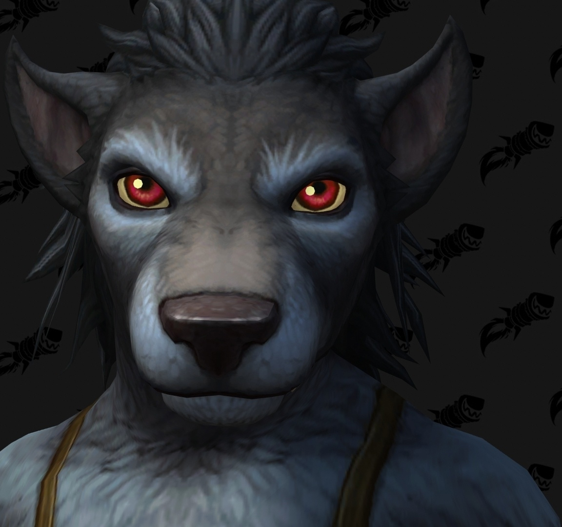 Shadowlands : personnalisation Worgen