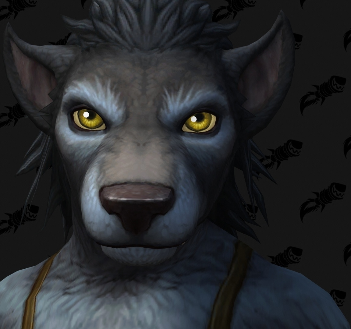 Shadowlands : personnalisation Worgen