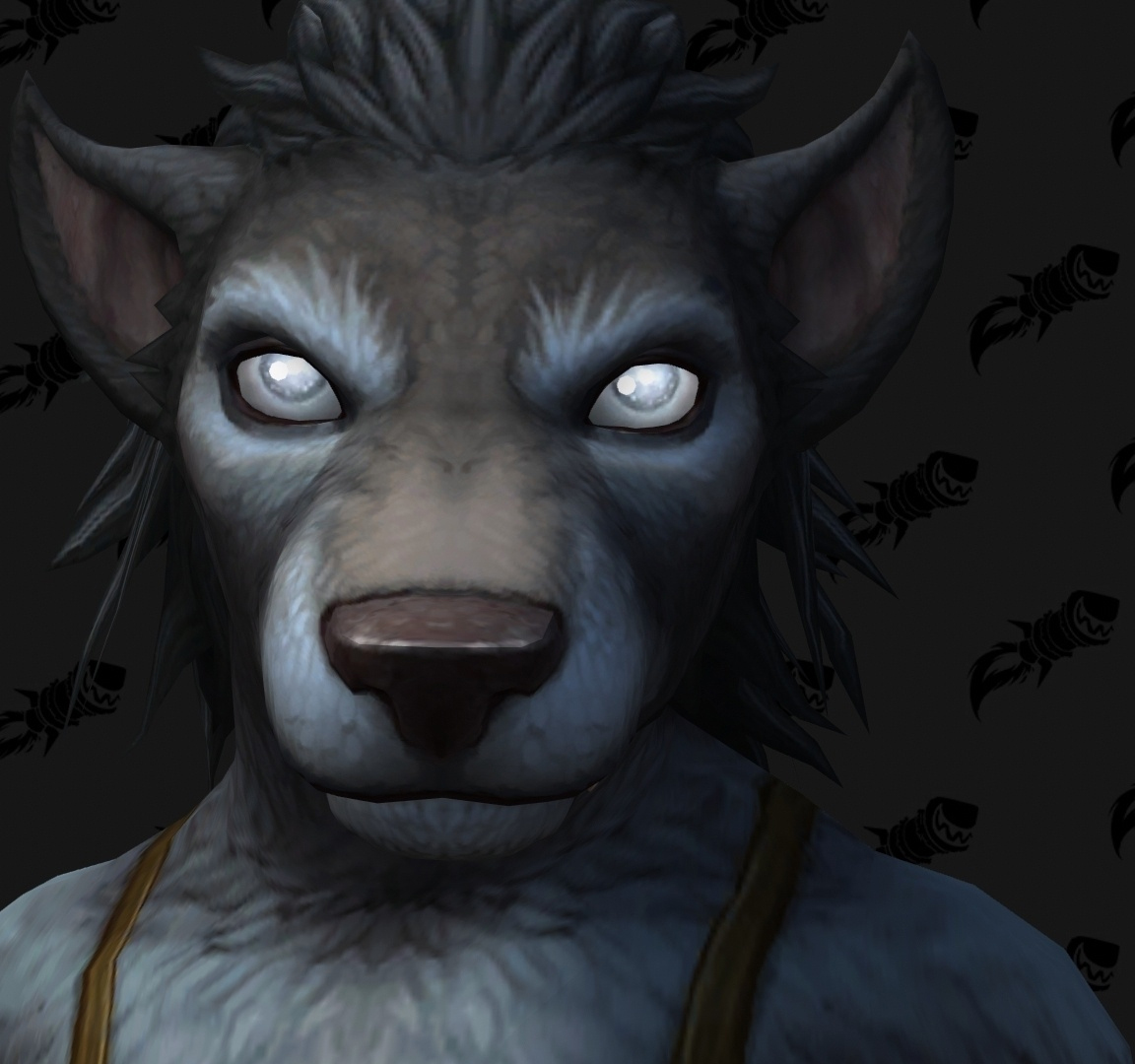 Shadowlands : personnalisation Worgen