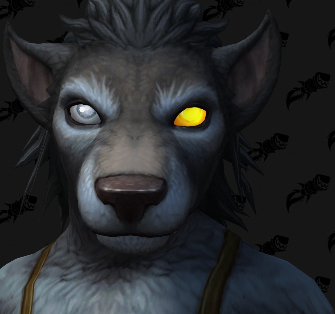 Shadowlands : personnalisation Worgen