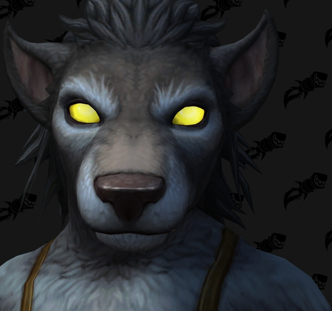 Shadowlands : personnalisation Worgen