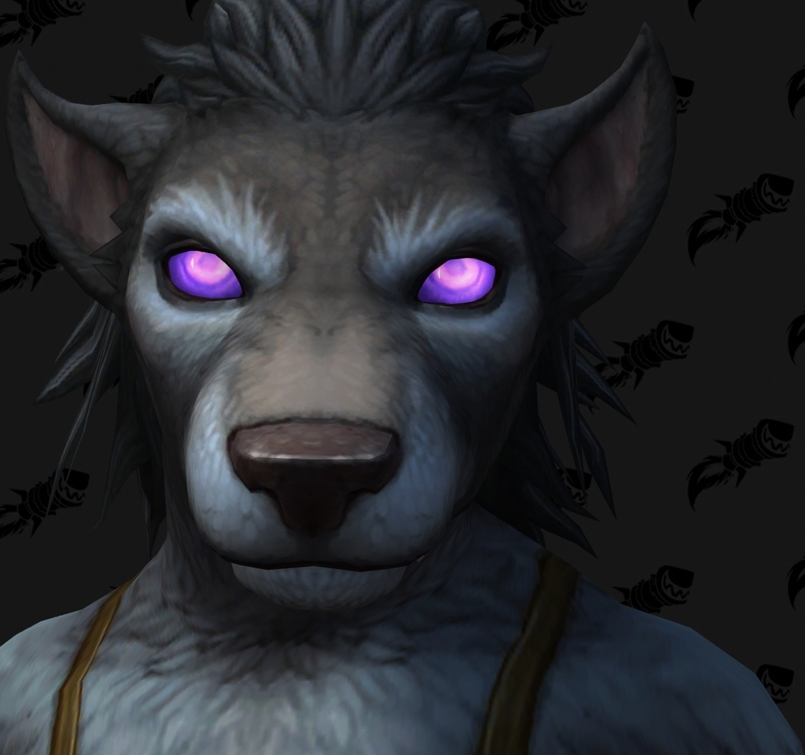 Shadowlands : personnalisation Worgen