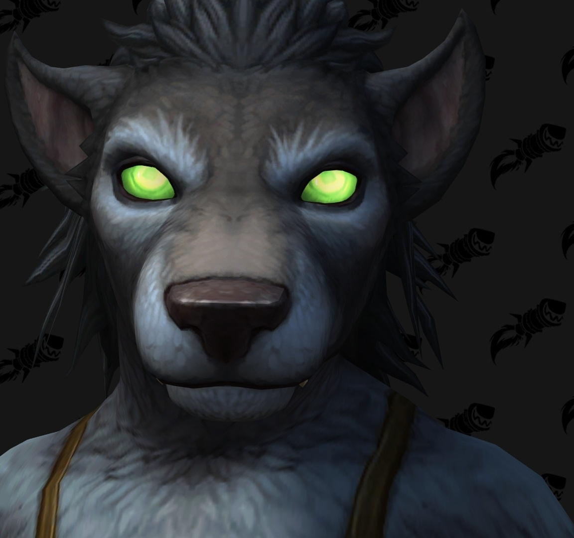 Shadowlands : personnalisation Worgen