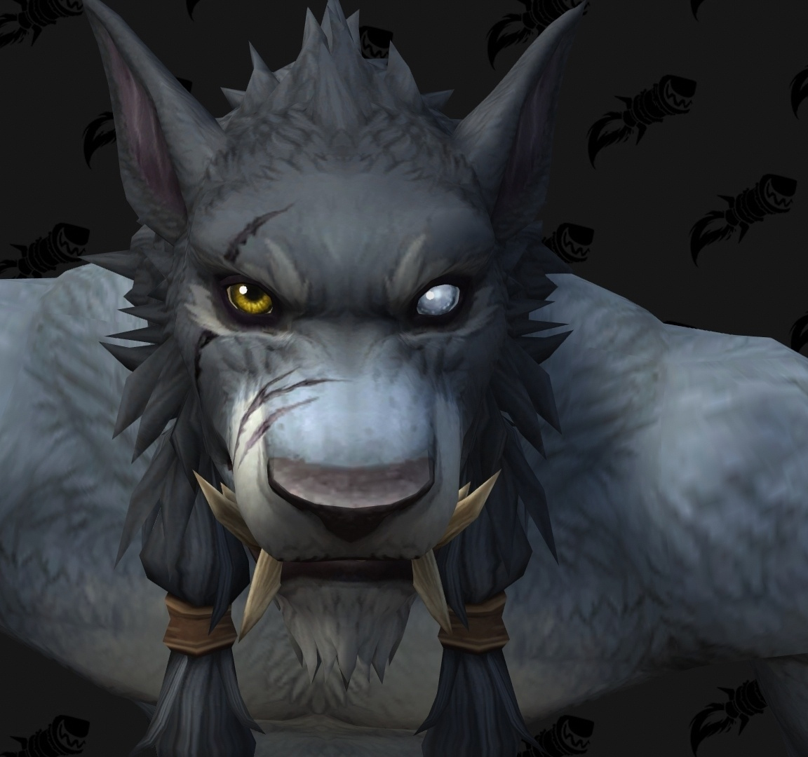 Shadowlands : personnalisation Worgen