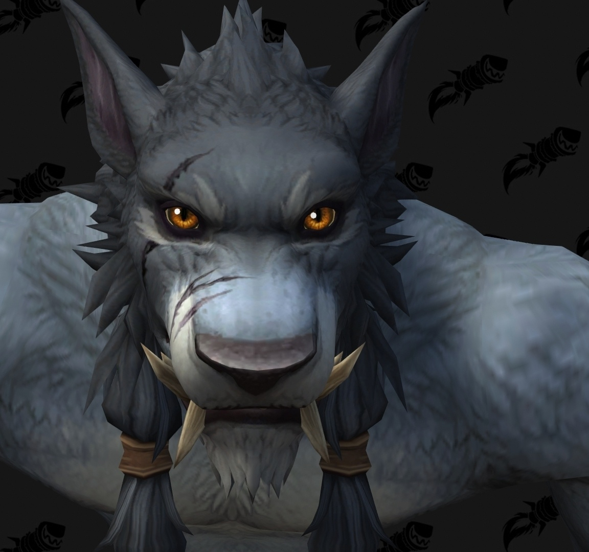 Shadowlands : personnalisation Worgen