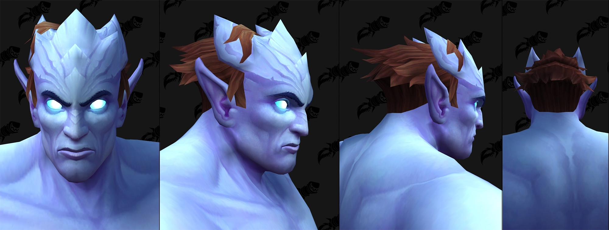 Nouvelles options de personnalisation Draenei