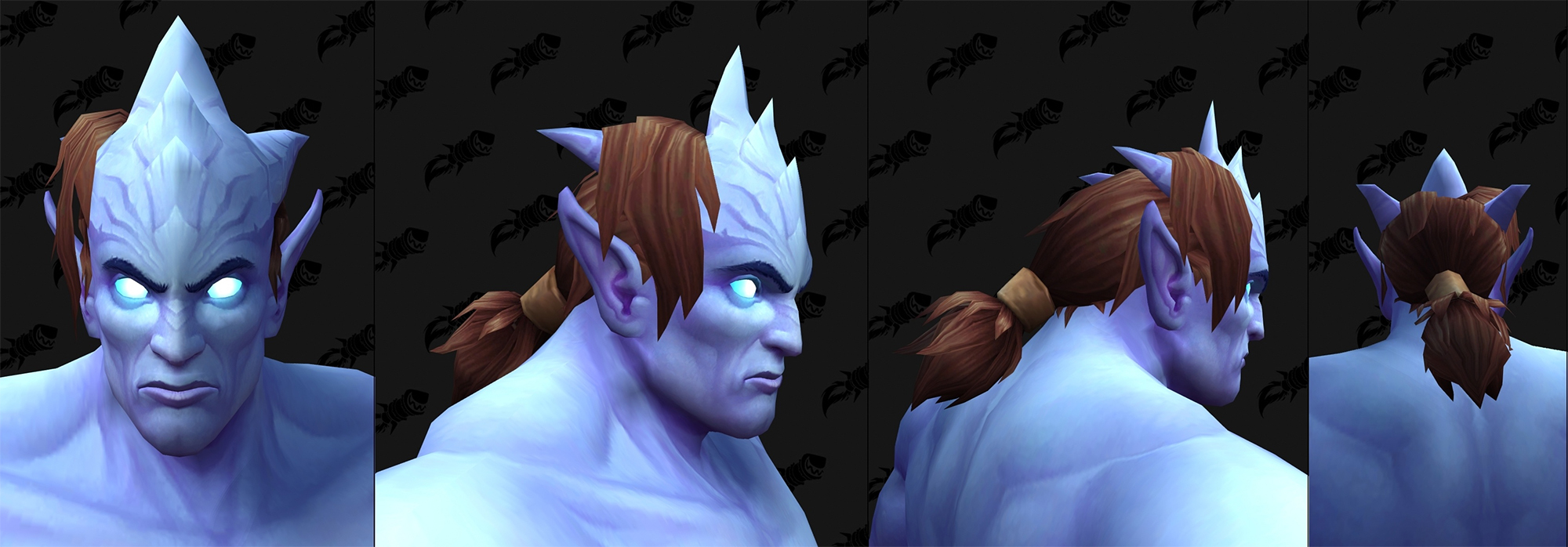 Nouvelles options de personnalisation Draenei