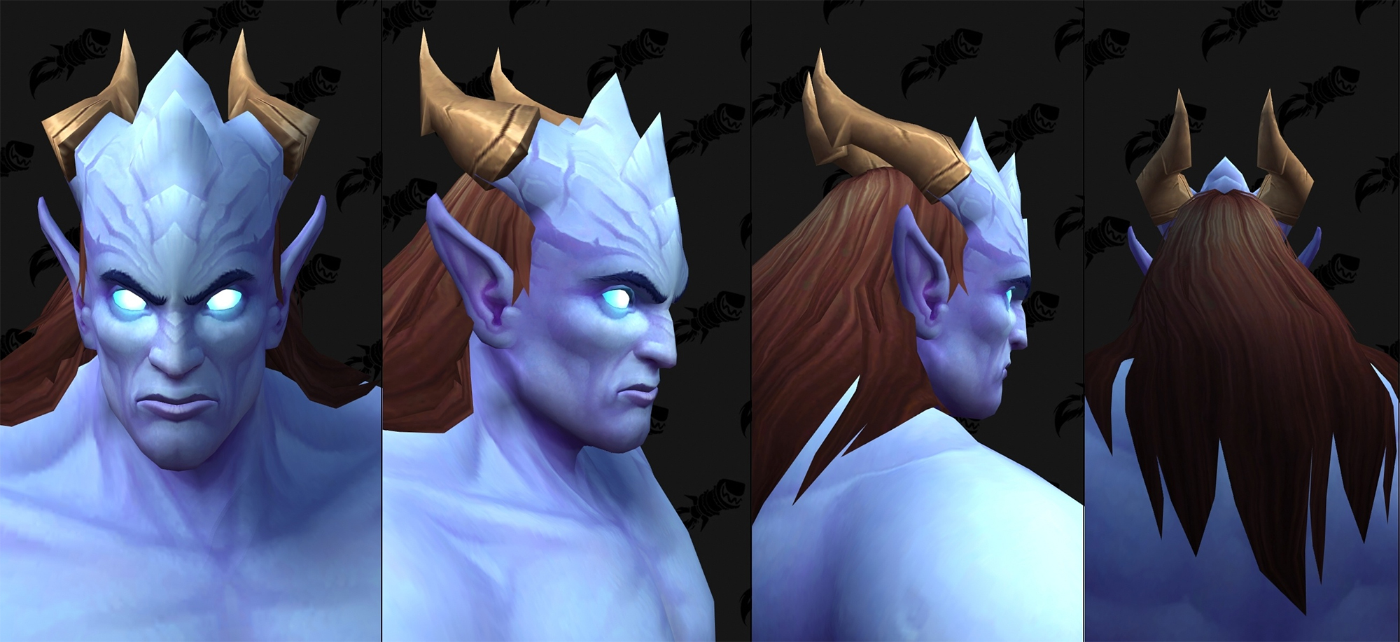 Nouvelles options de personnalisation Draenei