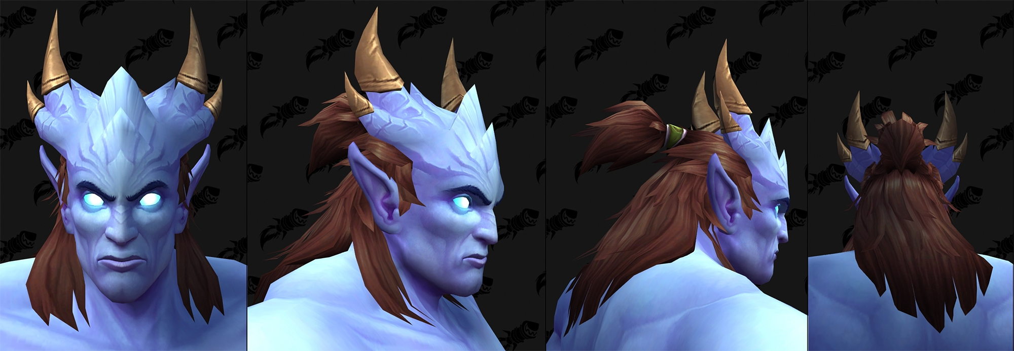 Nouvelles options de personnalisation Draenei