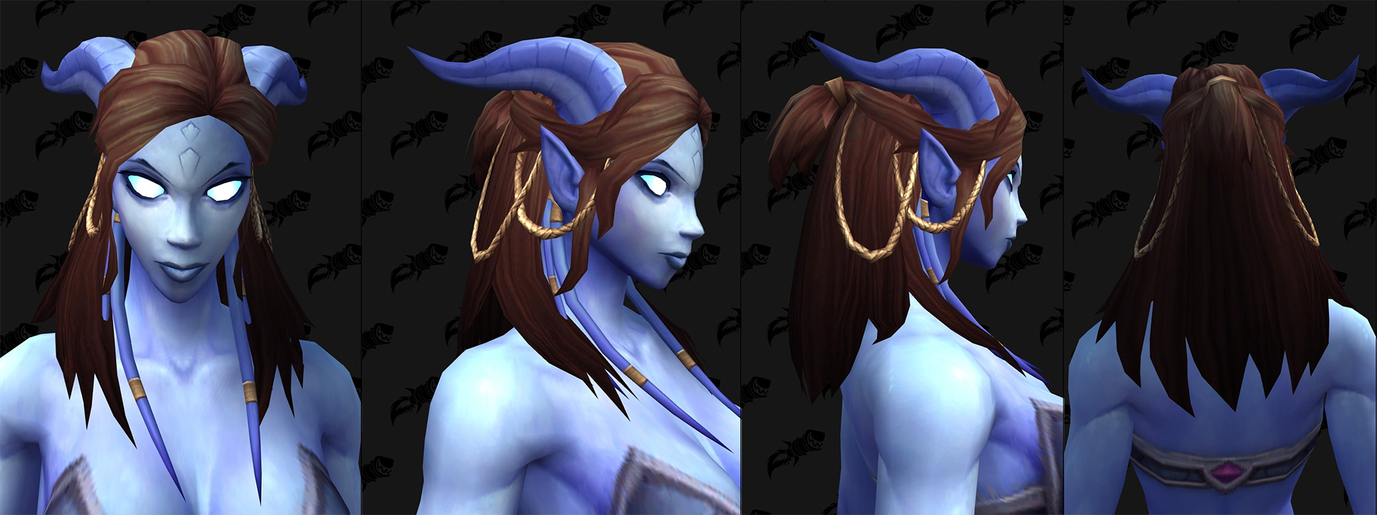 Nouvelles options de personnalisation Draenei