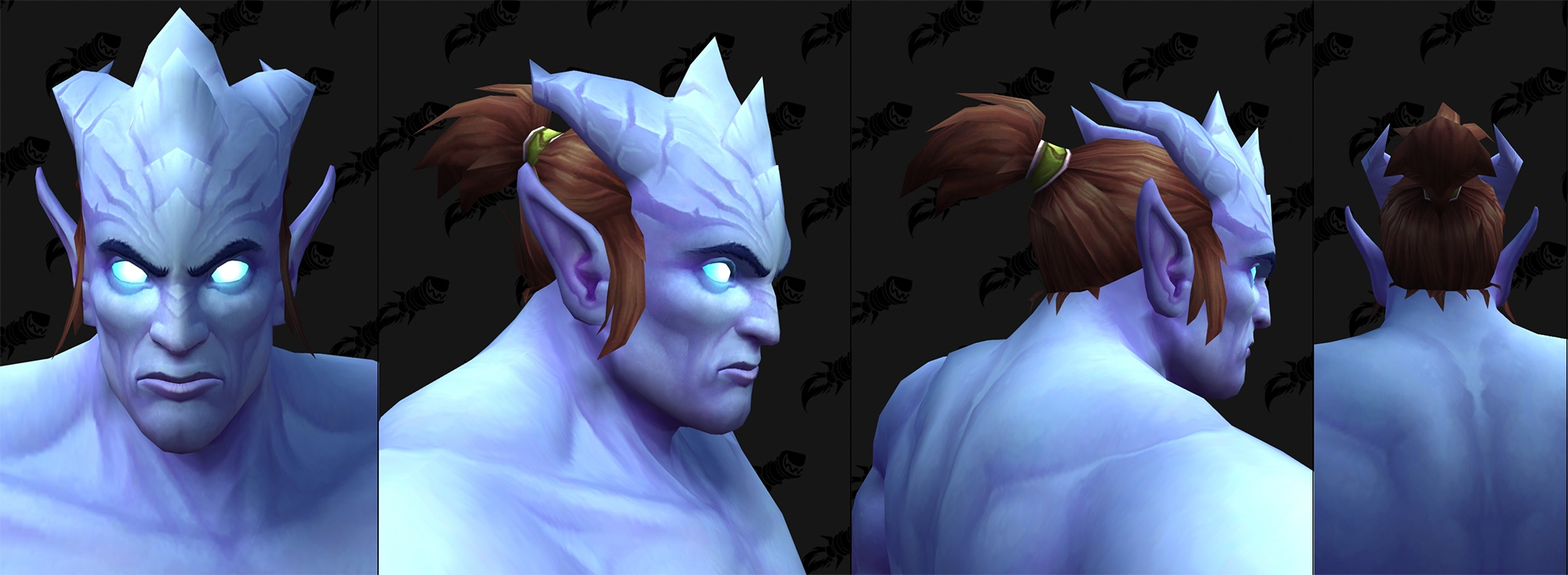 Nouvelles options de personnalisation Draenei