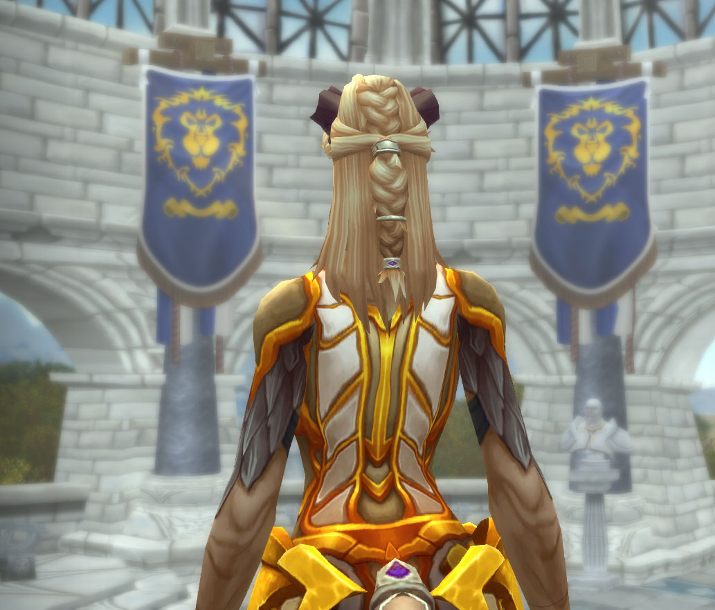 Patch 9.1.5 : coiffure tresses