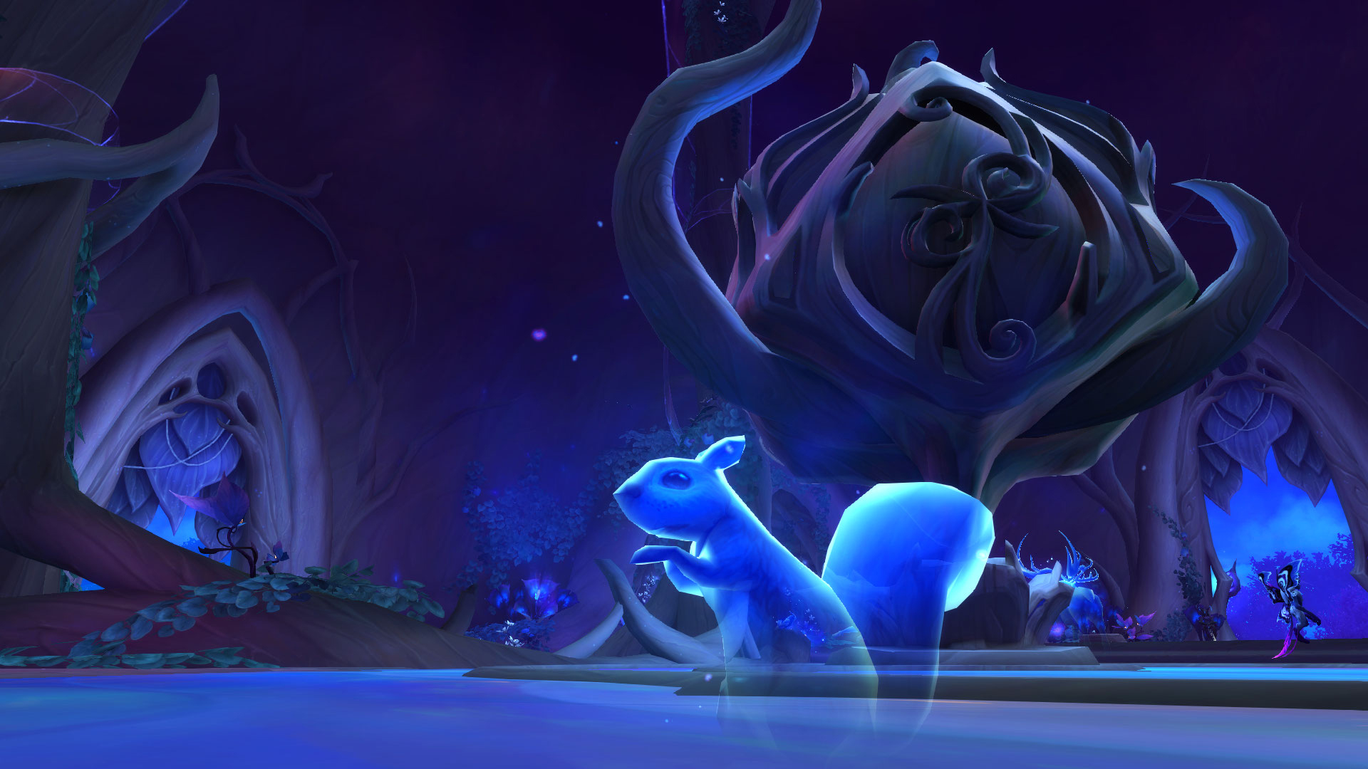 Patch 9.1.5 : Les formes de bestioles arrivent pour les Faë nocturnes