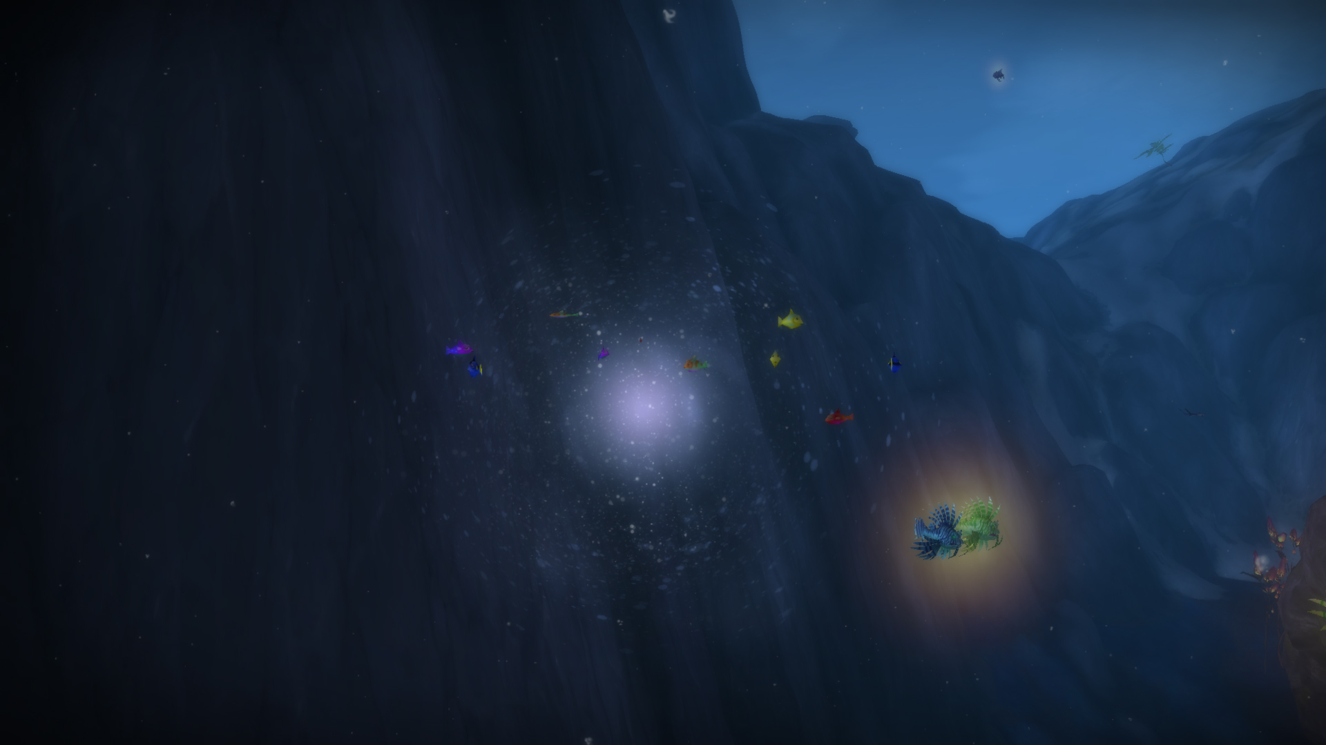 Traversez les bancs de poissons lors des plongées