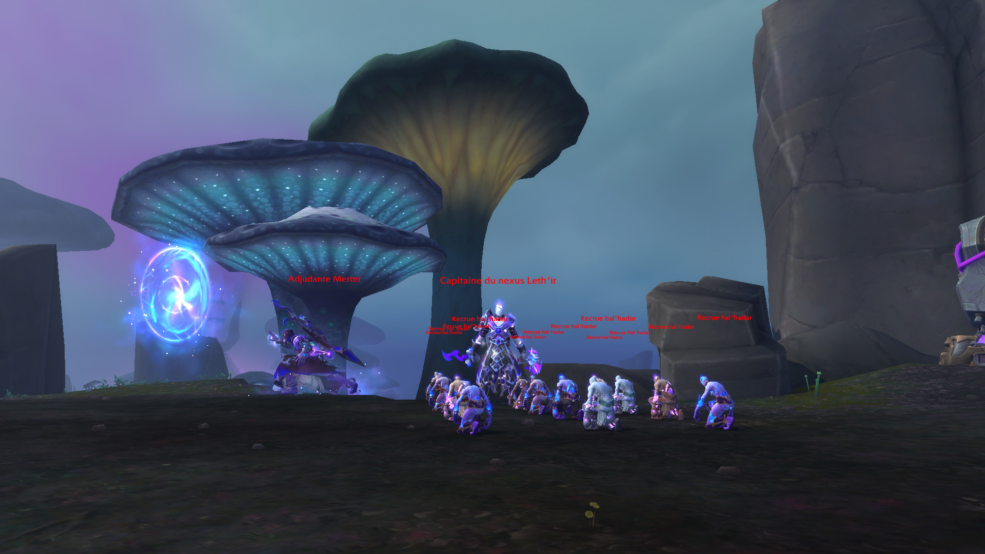World boss de Naigtal : Capitaine du nexus Leth'ir