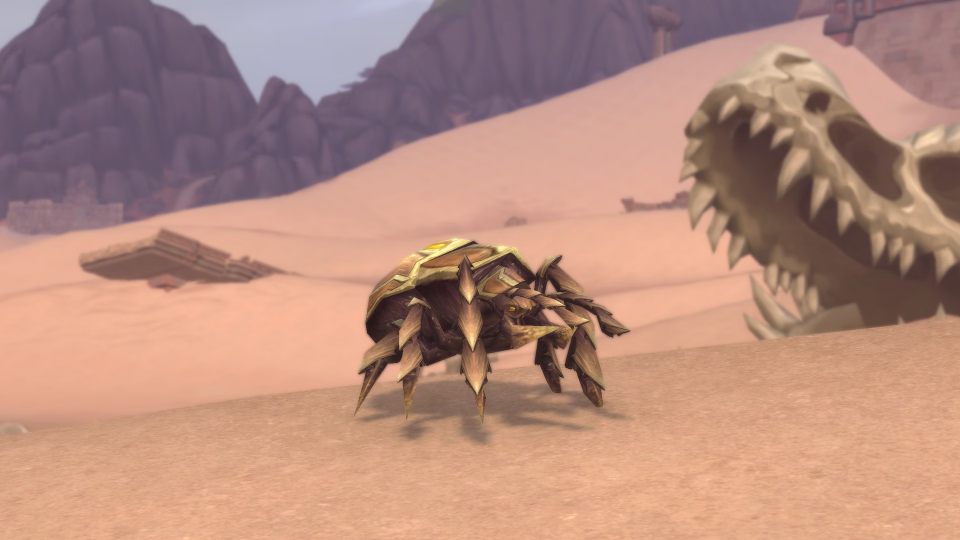 Scarabée des sables