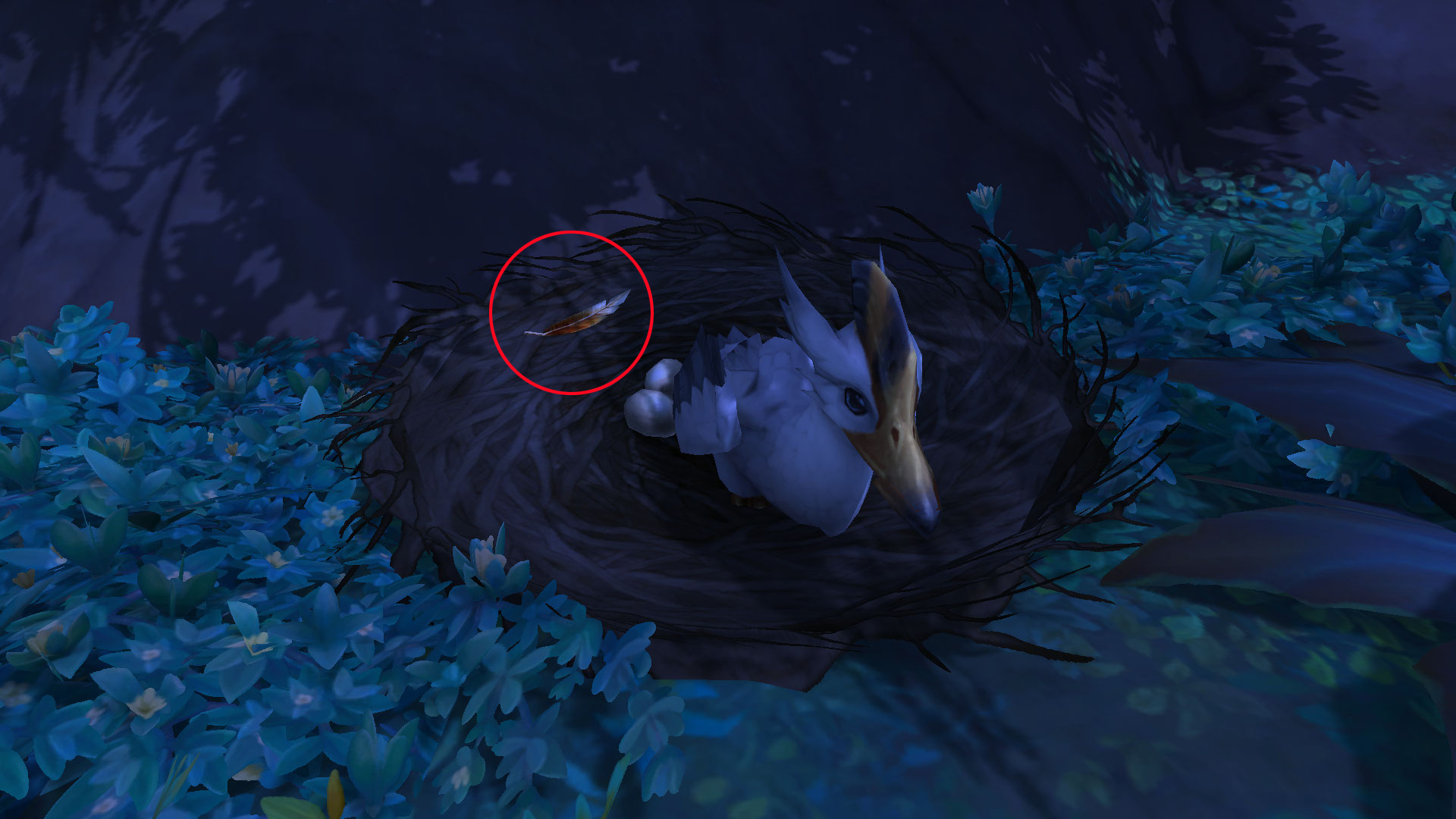 Déposez l'Œuf de canard