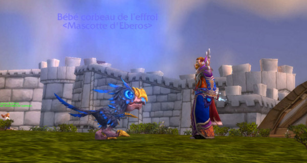 Warlords of Draenor : mascotte et monture disponibles