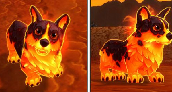 Un chiot du magma