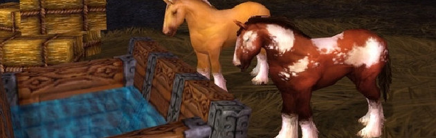 Chevauchez le poney ! Chevauchez le poney !