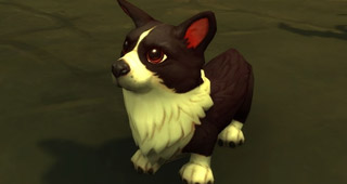 L'adorable mascotte Corgnelius